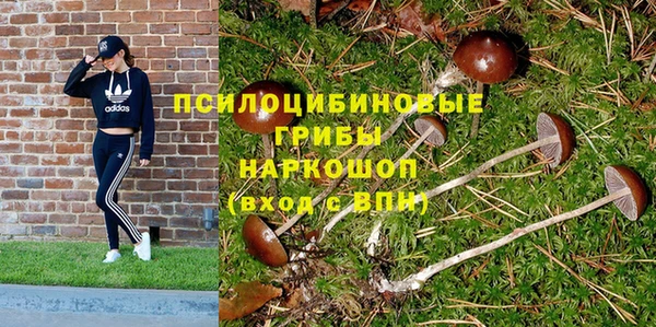 спиды Балахна